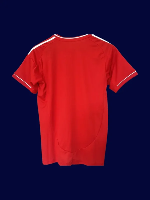 Liverpool Home Red Jersey 25/26 Fans Version Back