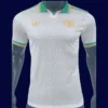 AS Roma Third Jersey 2526 Player Version1 - kfcool.com AS Roma Third Jersey 25/26 Player Version front showing third kit design with club crest.