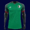 Algeria 26/27 away player jersey front (no stars) — pro fit, green design