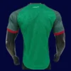 Algeria 26/27 away player jersey back (no stars) — lightweight performance panel
