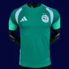 Algeria Green Training shirts 2627 Player VersionWhite1 - KFCool – Football Jerseys & Soccer Kits Store Algeria green training shirt 26/27 player front (white) — pro fit, breathable