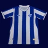 Avai home jersey 25/26 fans version front blue white stripes