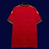 Belgium home red jersey 26/27 fans back with collar detail