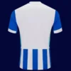 Brighton Home Jersey 25/26 Fans Version back with printed number area.