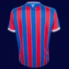 Crystal Palace Home Jersey 25/26 Fans Version back showing printed number panel.