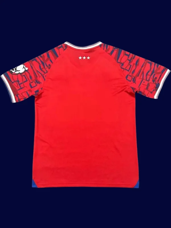 Ipswich Town Away Red Jersey 25/26 Fans Version back with printed number panel.