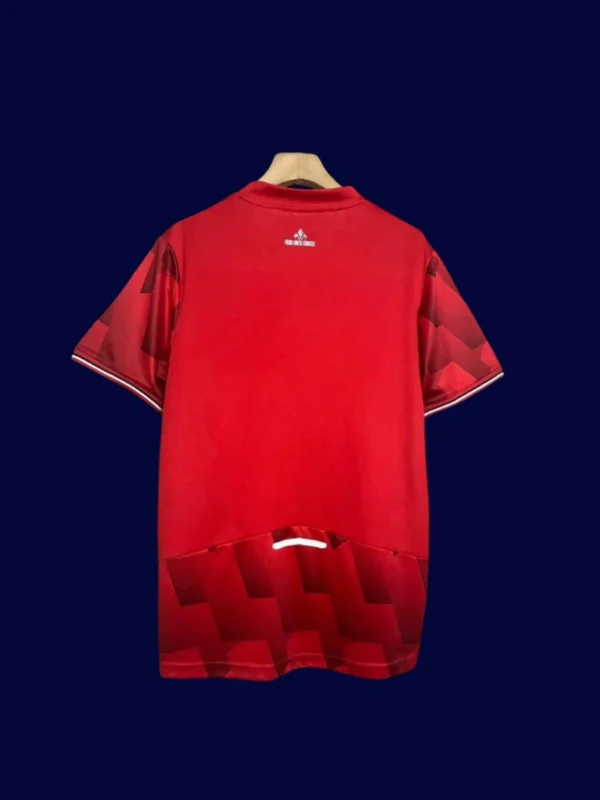 Lille Home Jersey 25/26 Fans Version back custom number