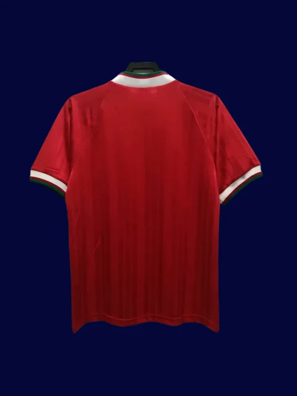 back view of Liverpool home red retro jersey (93/95) showing number-ready back panel.