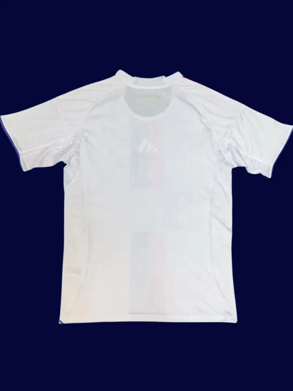 Lyon Home Jersey 25/26 Fans Version back custom number