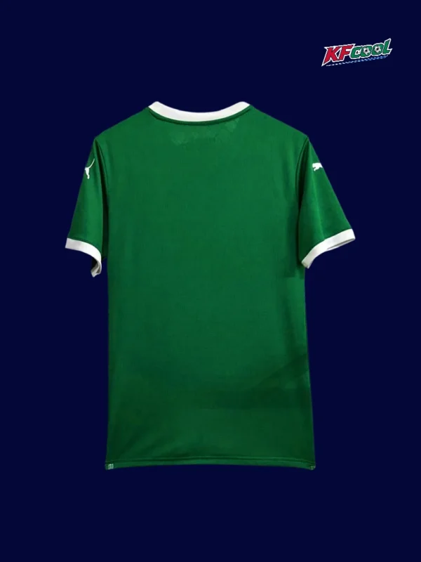 Palmeiras Home Jersey 2526 Fans Version2 - kfcool.com Palmeiras home jersey 25/26 fans version back view