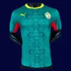 Senegal 26/27 away player jersey front — pro fit, green design