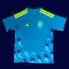 Spain blue goalkeeper jersey 26/27 fans front, padded elbows