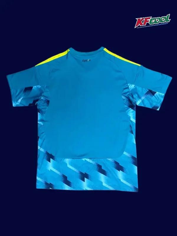 Spain blue goalkeeper jersey 26/27 back with padding and logo