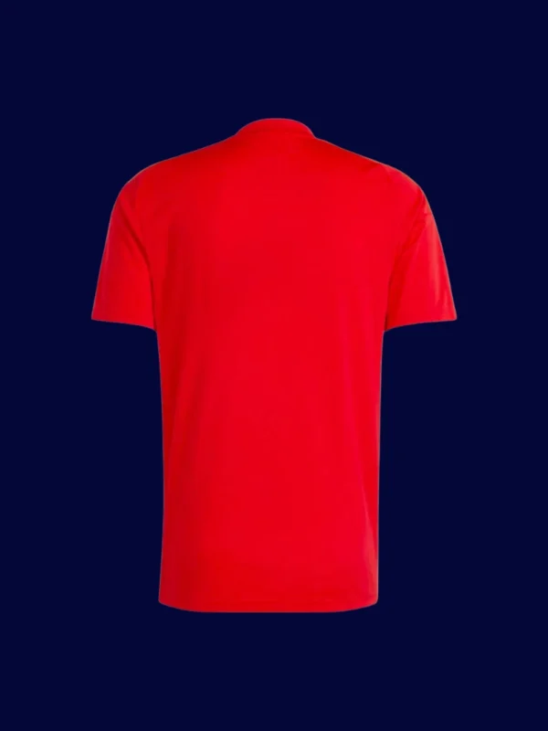 Spain 2425 Home Red Jersey Fans Version Back