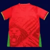 Back view of Cameroon 25/26 away jersey with name and number area