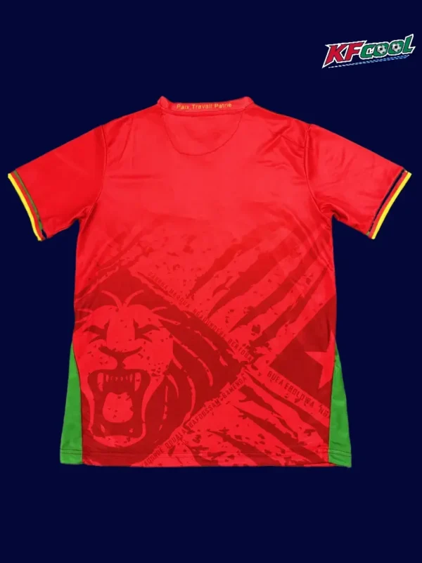 Back view of Cameroon 25/26 away jersey with name and number area