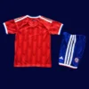Back view of Chile kids 26/27 home jersey with number area