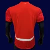 Back view of Egypt 2025 home red player jersey
