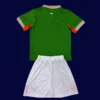 Ireland Home Green Kids Kits 2526 Fans Version2 - KFCool – Football Jerseys & Soccer Kits Store Back view of Ireland kids 25/26 home green kit