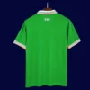 Back view of Ireland 25/26 home green football shirt