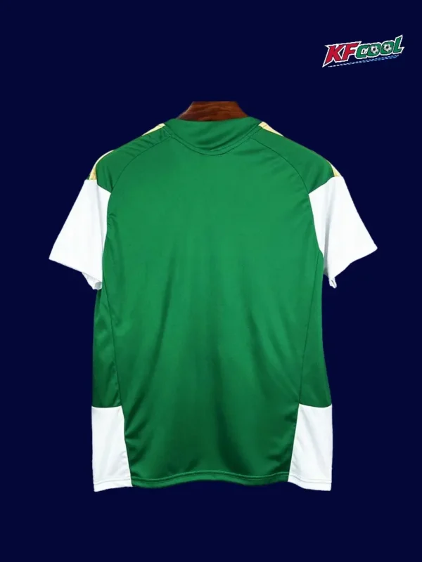 Italy green training shirt 26/27 fans version back with ventilation.