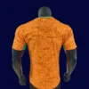 Ivory Coast home player jersey 26/27 back with number zone.