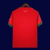 Back view of Morocco 2022 World Cup home red shirt