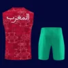 Morocco Red Vest Training Jersey 2627B - kfcool.com Back view of Morocco 26/27 red training vest