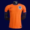 Netherlands Home Orange Jersey 2024 Player Version1 - kfcool.com Netherlands 2024 home orange football jersey front player version