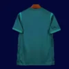 Nigeria Away Green Shirt 2526 Fans Version2 - KFCool – Football Jerseys & Soccer Kits Store Back view of Nigeria 25/26 away green fans shirt