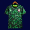Nigeria 24/25 green football jersey front fans version