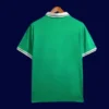 Back view of Nigeria 24/25 green football shirt