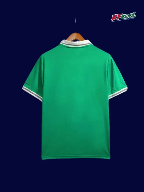 Back view of Nigeria 24/25 green football shirt