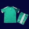 Back view of North Ireland kids 26/27 home green kit