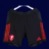 Liverpool Away Black Shorts 25/26 Player Version Front