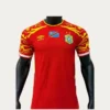 DR Congo Third Jersey 2627 Player Version1 - KFCool – Football Jerseys & Soccer Kits Store