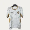 Czechia Away Jersey 2627 Fans Version1 - KFCool – Football Jerseys & Soccer Kits Store