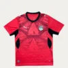 Egypt Home Jersey 2627 Fans Version1 - KFCool – Football Jerseys & Soccer Kits Store
