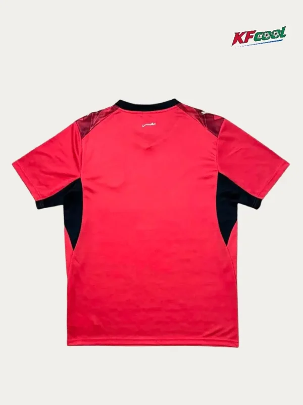 Egypt Home Jersey 2627 Fans Version2 - KFCool – Football Jerseys & Soccer Kits Store