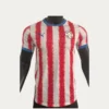 Paraguay Home Jersey 2627 Player Version1 - KFCool – Football Jerseys & Soccer Kits Store