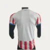 Paraguay Home Jersey 2627 Player Version2 - KFCool – Football Jerseys & Soccer Kits Store