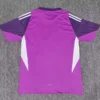 Argentina 2025/26 Goalkeeper Jersey Fan Version - Back View | KFCOOL
