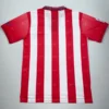 Atlético Madrid 1998/99 Retro Home Jersey Fan Version - Back View Atlético Madrid 1998/99 Retro Home Jersey Fan Version - Back View | KFCOOL