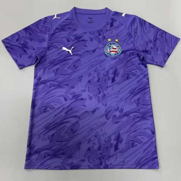 Bahia 2026/27 Goalkeeper Purple Jersey Fan Version - Front View Bahia 2026/27 Goalkeeper Purple Jersey Fan Version - Front View | KFCOOL