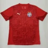 Bahia 2026/27 Goalkeeper Red Jersey Fan Version - Front View Bahia 2026/27 Goalkeeper Red Jersey Fan Version - Front View | KFCOOL