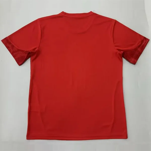 Bahia 2026/27 Goalkeeper Red Jersey Fan Version - Back View Bahia 2026/27 Goalkeeper Red Jersey Fan Version - Back View | KFCOOL