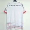 Bayern Munich 2025/26 Away Jersey Fan Version - Back View Bayern Munich 2025/26 Away Jersey Fan Version - Back View | KFCOOL