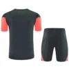 Bayern Munich 2025/26 Grey Red Training Short Suit - Back View Bayern Munich 2025/26 Grey Red Training Short Suit - Back View | KFCOOL