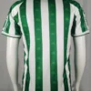 Real Betis 1995/96 Retro Home Jersey Fan Version - Back View Real Betis 1995/96 Retro Home Jersey Fan Version - Back View | KFCOOL