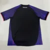 Botafogo 2025/26 Jersey Fan Version - Back View | KFCOOL